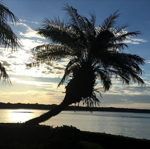 Meet your Posher, Ella